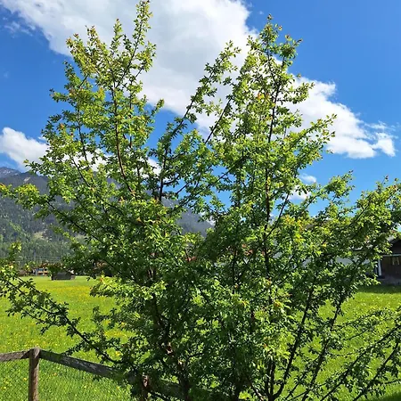 Adlerhorst Apartamento *